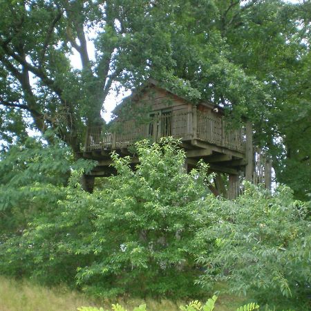 cabane perchée Solférino Esterno foto