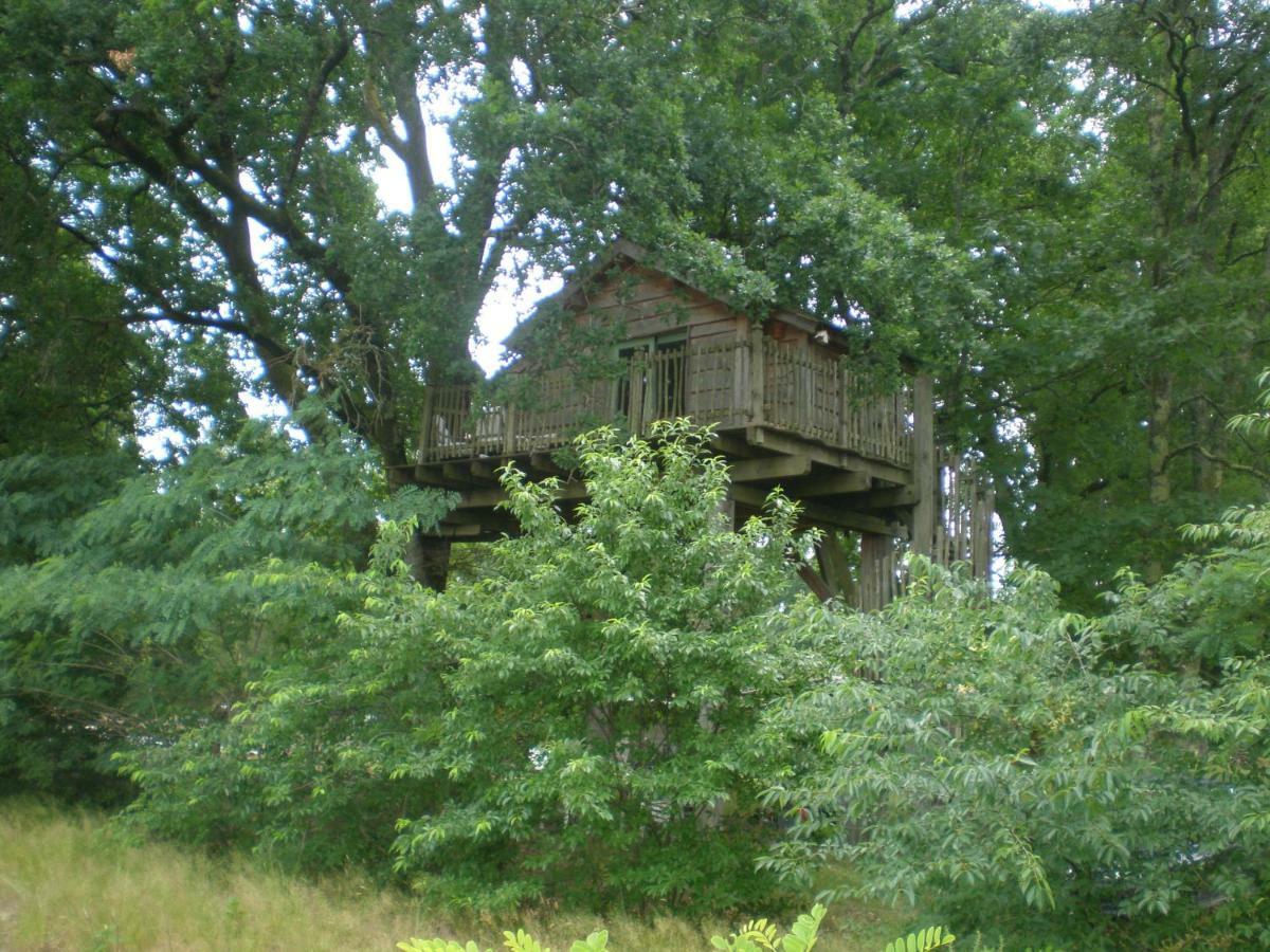 cabane perchée Solférino Esterno foto