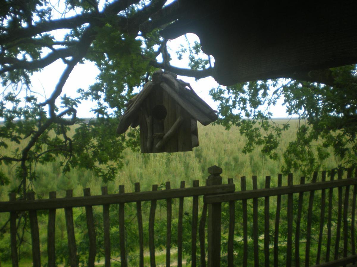 cabane perchée Solférino Esterno foto